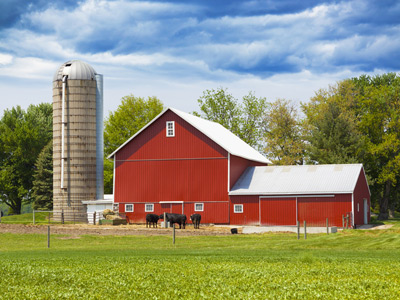 Trinity Insurance - Farm